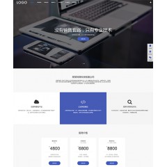响应式网站建设网络科技网站（带手机端）